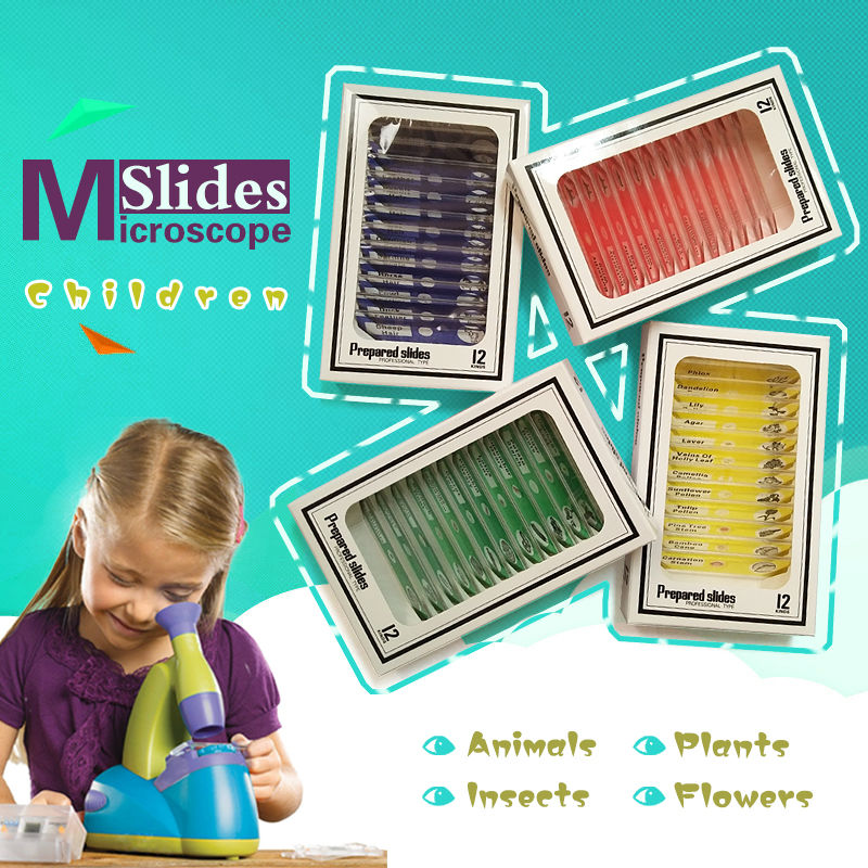 48 PCS Prepared Plastic Microscope Slides Biological Specimen with 4 Boxes for Children Student Enlighten Education