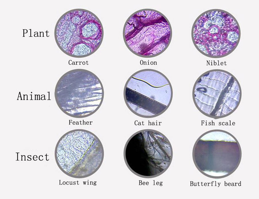 Microscope Kit Lab LED 100X-1200X Home School Educational Toy Gift Biological Microscope For Kids Child