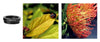 Fish Eye Phone Camera Lens Cell Phone Smartphone Fisheye Lenses Angel Macro Zoom Mobile Phones Lens Telescop For iPhone 5 6 7 8